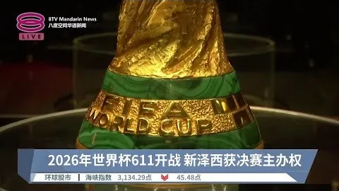 中国男足历届，米兰体育官网，世界杯预选赛战绩一览
